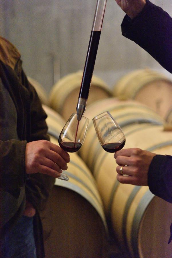 Torre De Palma Wine Hotel, Monforte, A Member Of Design Monforte