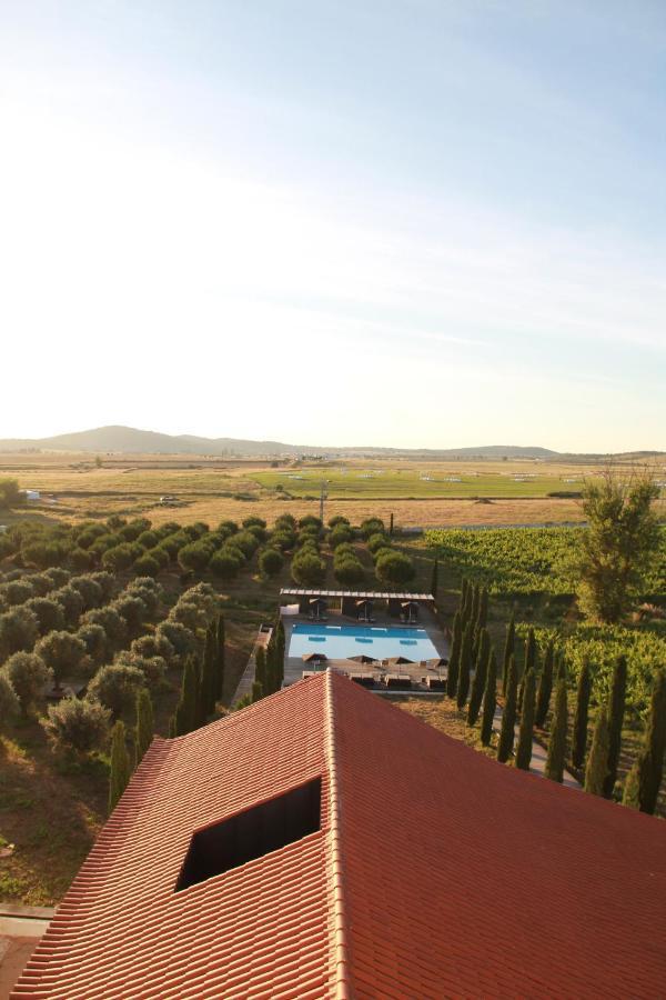 Torre De Palma Wine Hotel, Monforte, A Member Of Design Monforte
